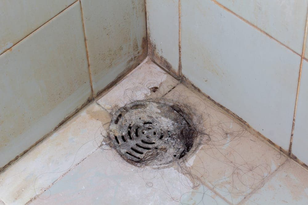 A shower drain in the corner of a tiled stall, covered with loose hair