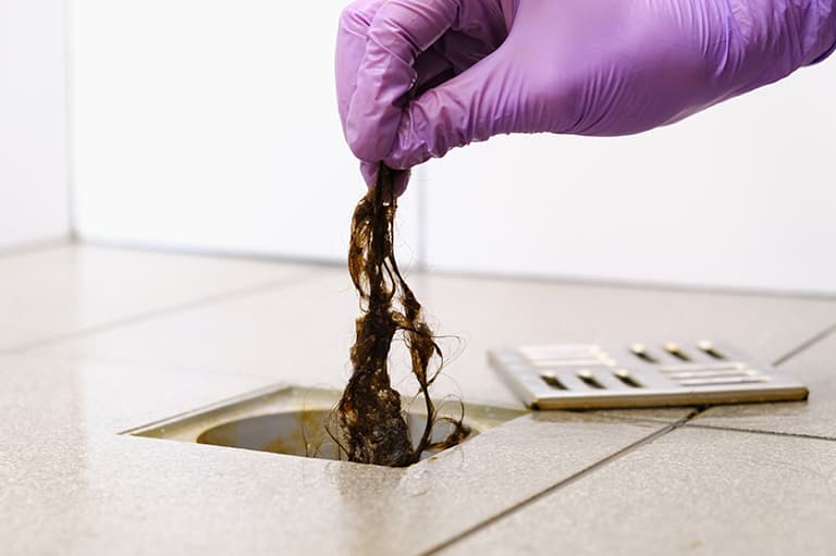 A purple-gloved hand pulling a clump of wet hair out of a square shower drain